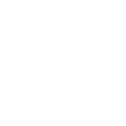 ce logo Davie