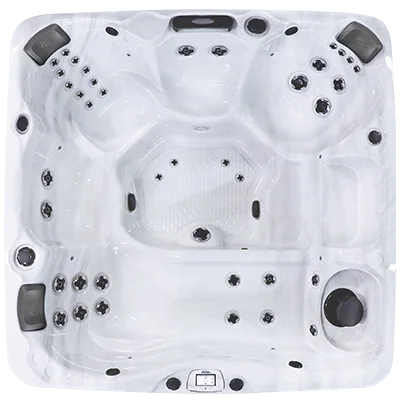 Avalon-X EC-840LX hot tubs for sale in Davie