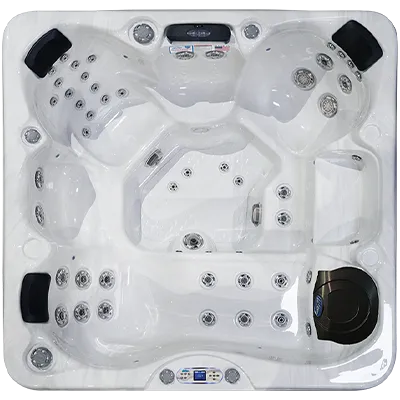 Avalon EC-849L hot tubs for sale in Davie