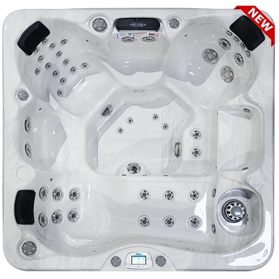 Avalon-X EC-849LX hot tubs for sale in Davie