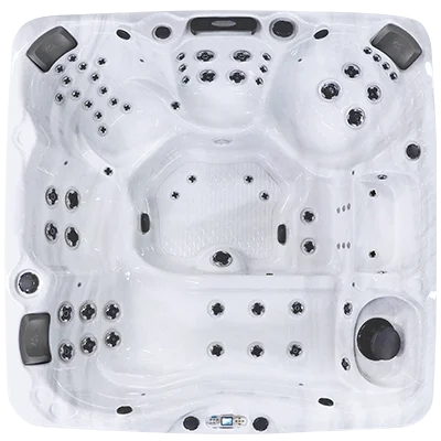 Avalon EC-867L hot tubs for sale in Davie